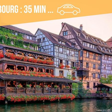 ✧ La Suite ✧ Studio De Charme Route Des Vins Kintzheim Kültér fotó