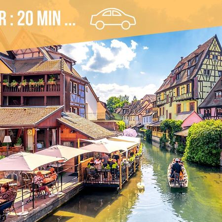 ✧ La Suite ✧ Studio De Charme Route Des Vins Kintzheim Kültér fotó
